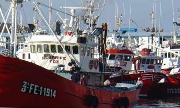 UGT-Euskadi solicita flexibilidad en las medidas para los traslados de los trabajadores del sector pesquero en plena costera de la anchoa